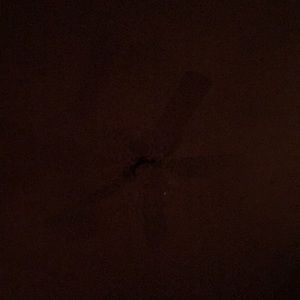 Meet your Posher, Georgina